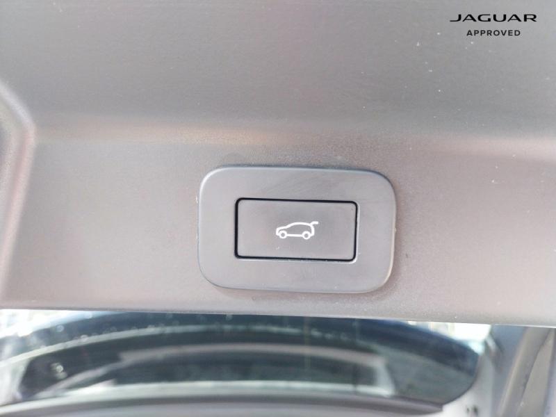 Image JAGUAR F-Pace P400e Plug-in-Hybrid R-Dynamic SE BVA8 AWD