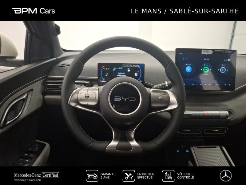 Image BYD Dolphin Surf 88ch - 43,2 kWh Boost