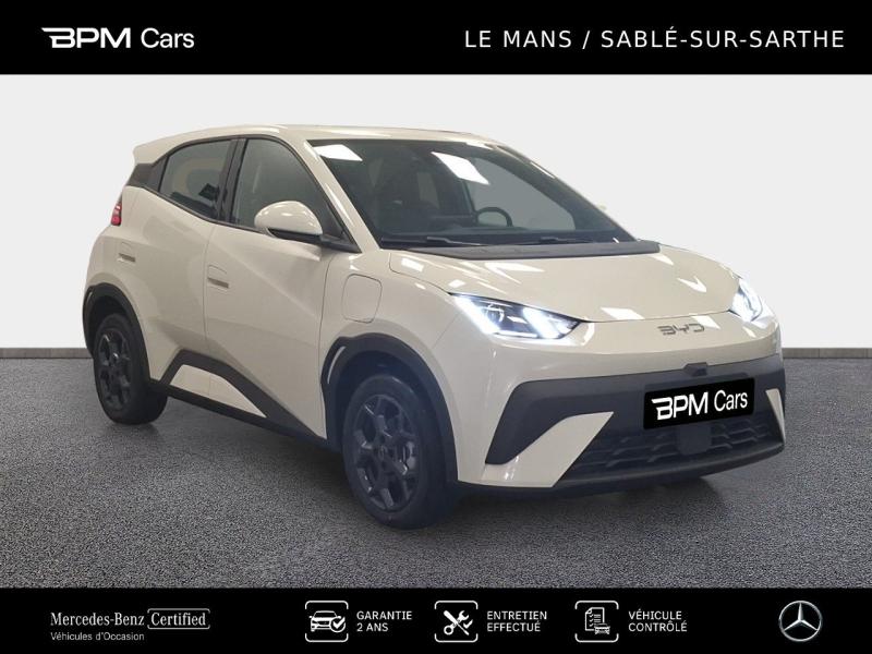 Image BYD Dolphin Surf 88ch - 43,2 kWh Boost