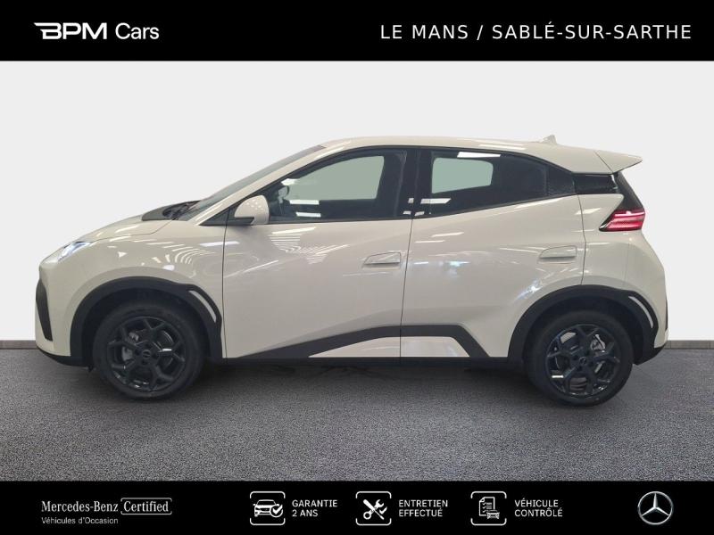 Image BYD Dolphin Surf 88ch - 43,2 kWh Boost