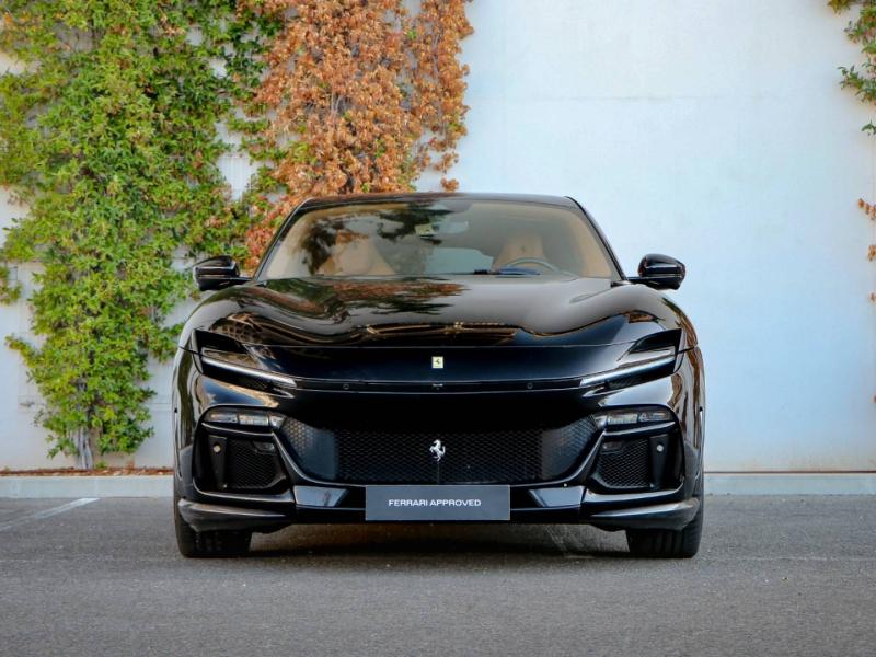 Photo FERRARI PUROSANGUE V12