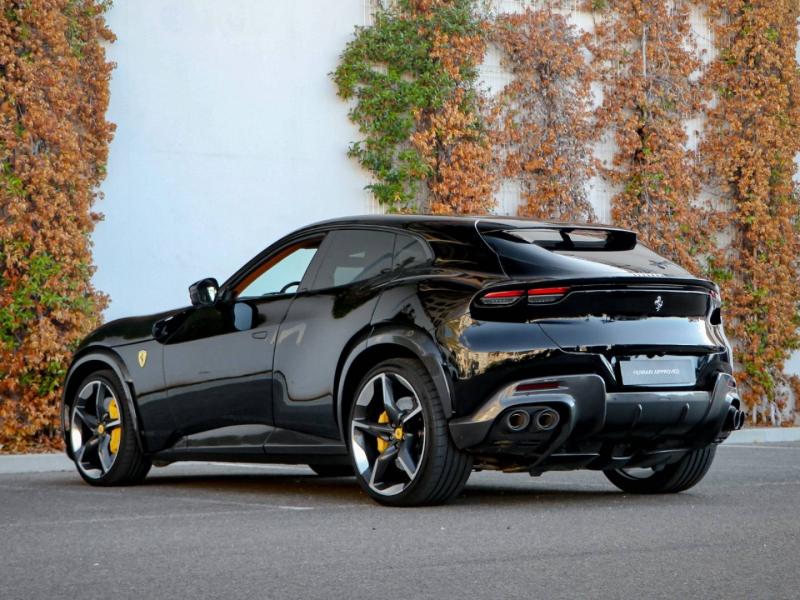 Image FERRARI PUROSANGUE V12