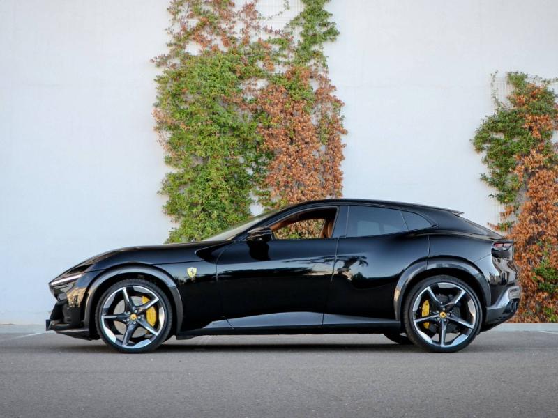 Image FERRARI PUROSANGUE V12