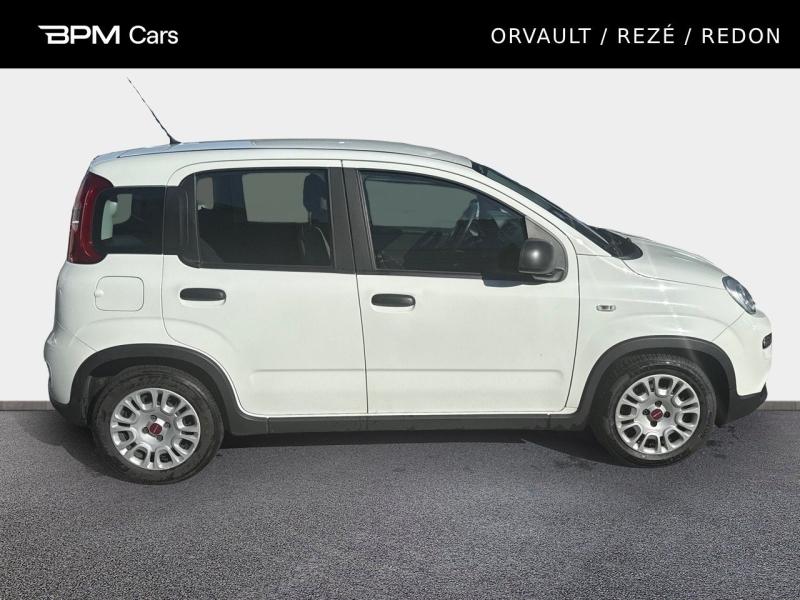 Image FIAT Panda 1.0 70ch BSG S&S City Cross (Juin2021)