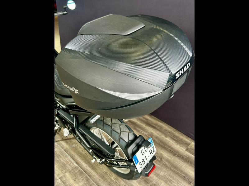 Image BENELLI Leoncino Leoncino 500 T  A2