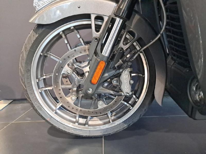 Image INDIAN Pursuit Pursuit 1768 Limited 2025