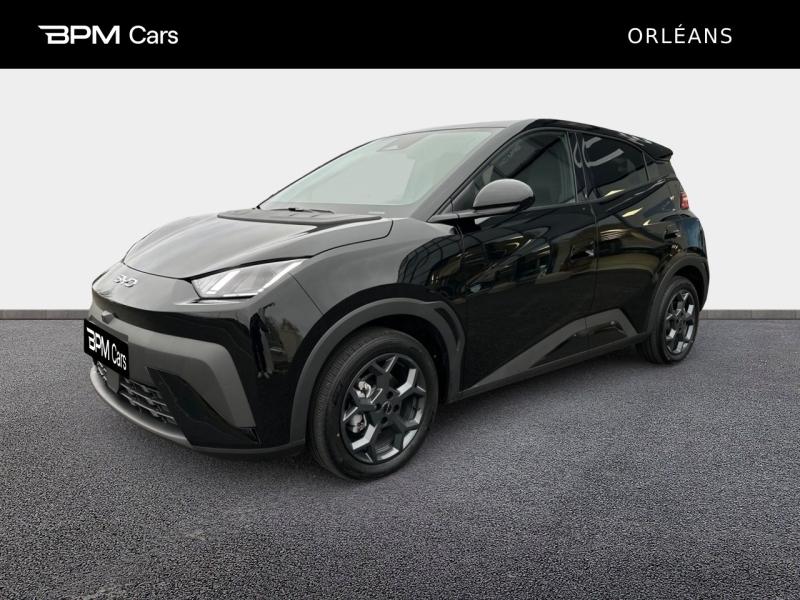 Photo BYD Dolphin Surf 156ch - 43,2 kWh Comfort