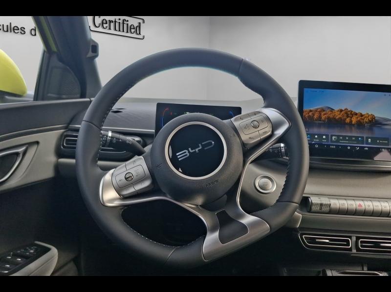 Image BYD Dolphin Surf 88ch - 43,2 kWh Boost