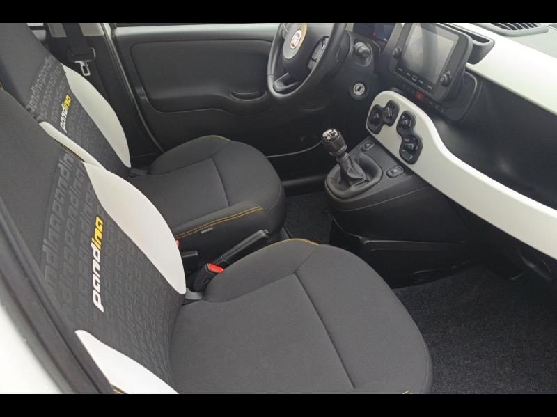 Image FIAT Panda Classic 1.0 70ch BSG S&S Pandina