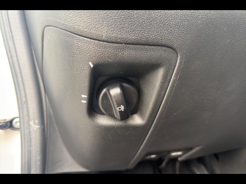 Image DACIA Spring 45ch Business 2020 - Achat Intégral