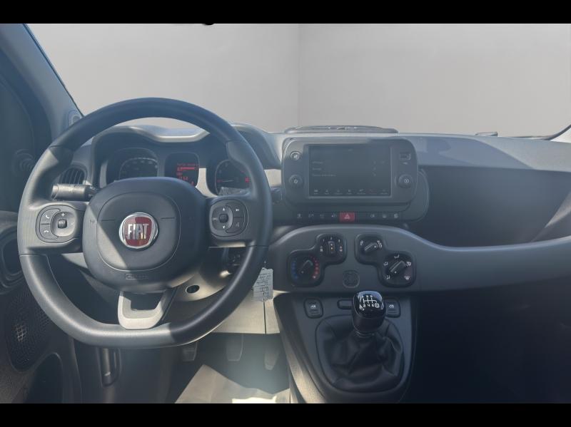 Image FIAT Panda 1.0 70ch BSG S&S City Cross (Juin2021)
