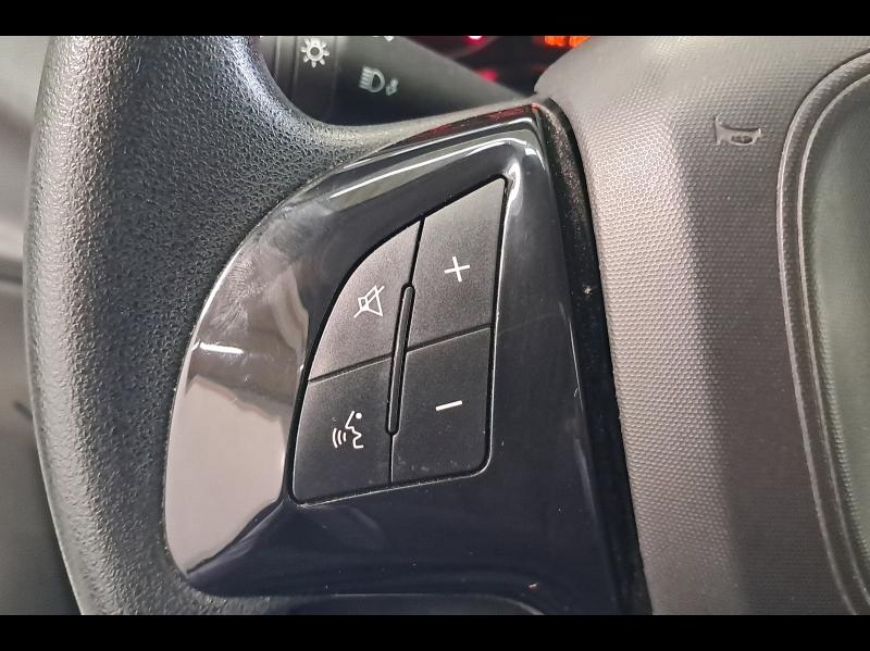 Image FIAT Doblo Cargo 1.6 Multijet 105ch 705kg Pro Lounge
