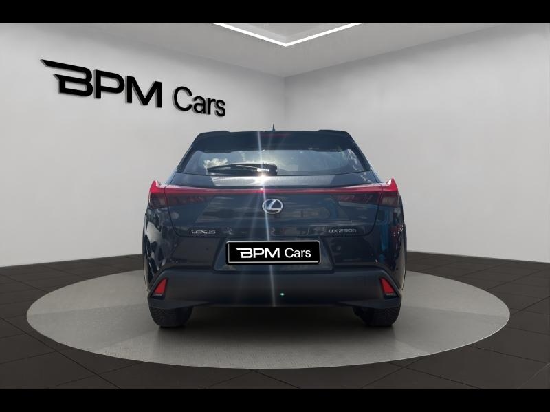 Image LEXUS UX 250h 2WD Pack Confort Business MY21