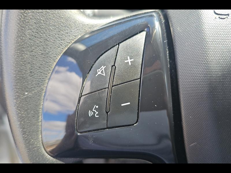 Image FIAT Doblo Cargo Maxi 1.6 Multijet 105ch 750kg Pro Lounge