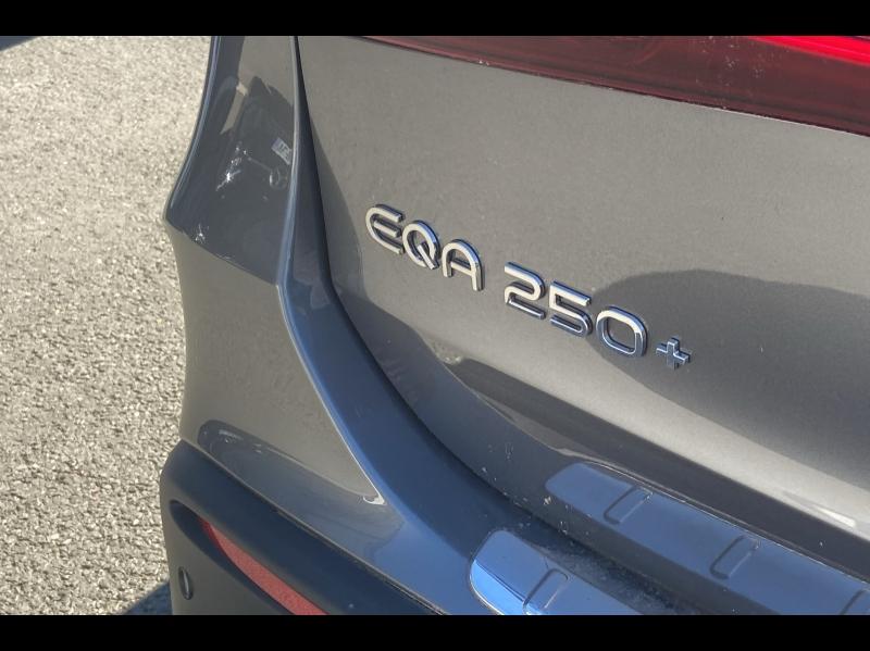 Image MERCEDES-BENZ EQA 250+ 190ch Business Edition