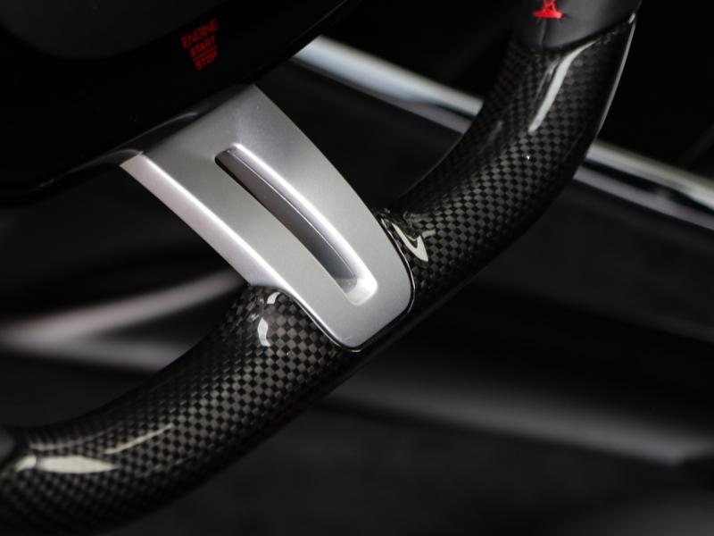Image FERRARI PUROSANGUE V12