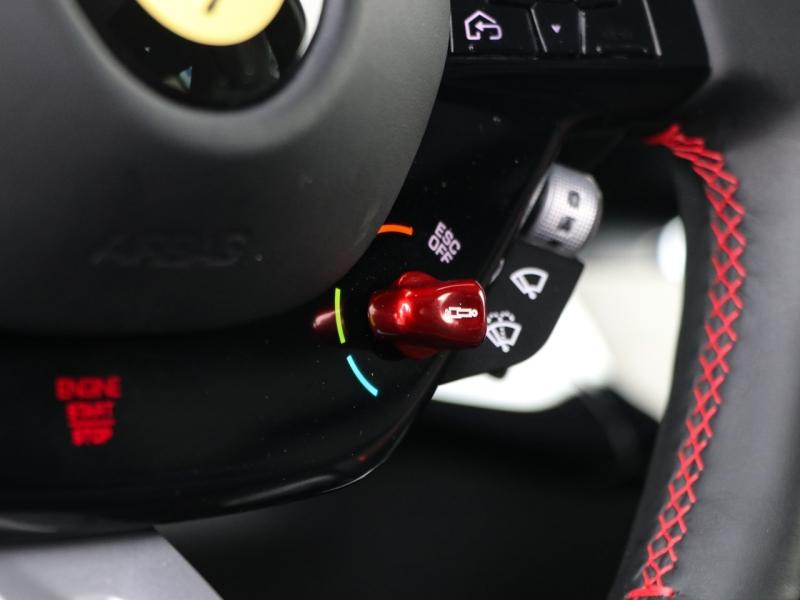 Image FERRARI PUROSANGUE V12