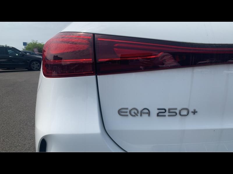 Image MERCEDES-BENZ EQA 250+ 190ch Business Edition