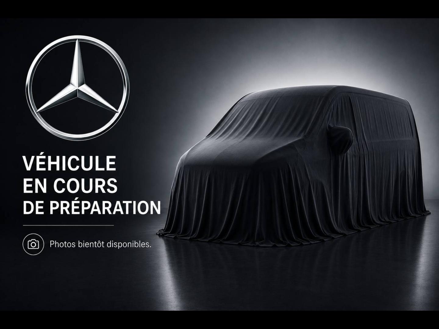 Photo MERCEDES-BENZ Classe V 300 d Long Avantgarde Intégrale 9G-Tronic