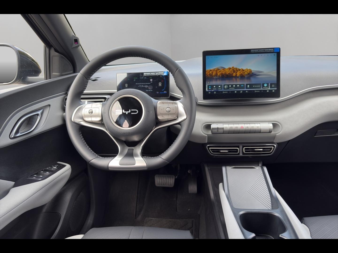 Image BYD Dolphin Surf 88ch - 43,2 kWh Boost
