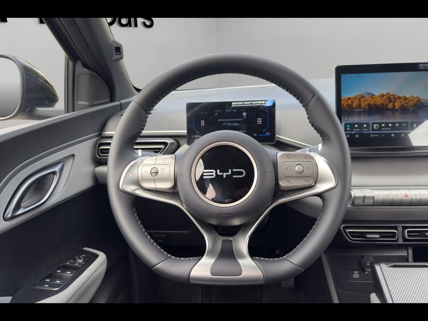 Image BYD Dolphin Surf 88ch - 43,2 kWh Boost