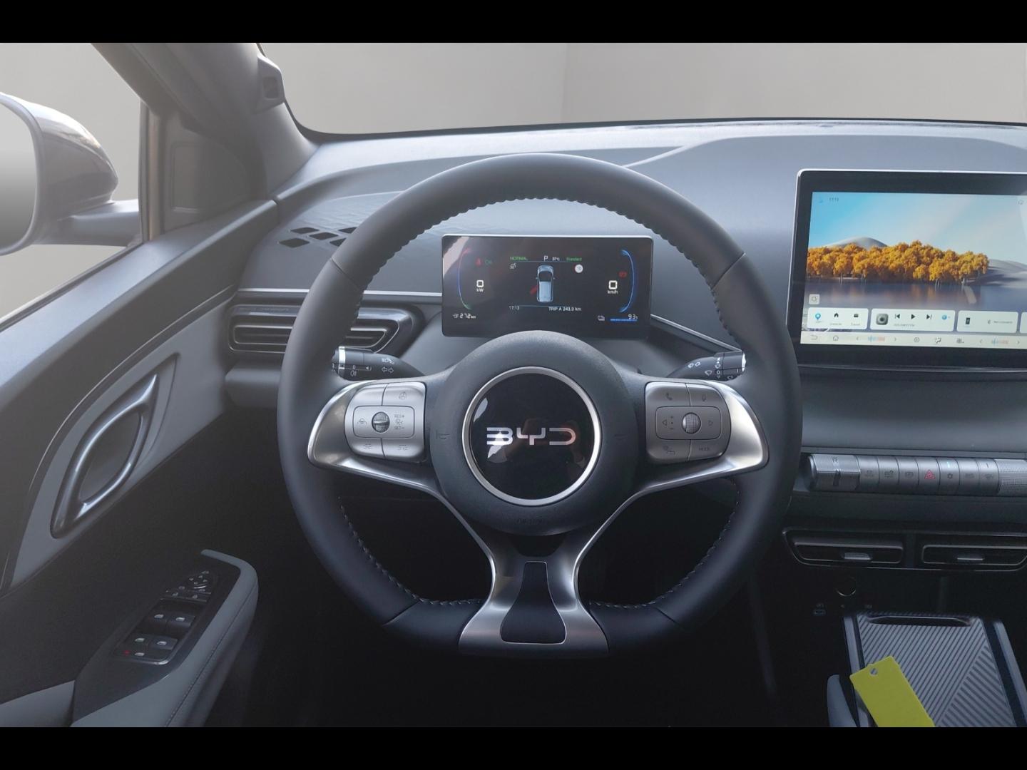 Image BYD Dolphin Surf 88ch - 43,2 kWh Boost
