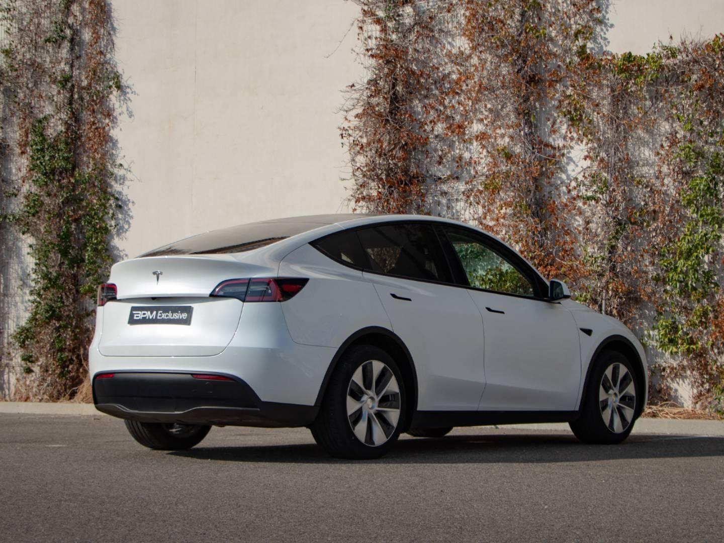 Image TESLA Model Y Standard RWD