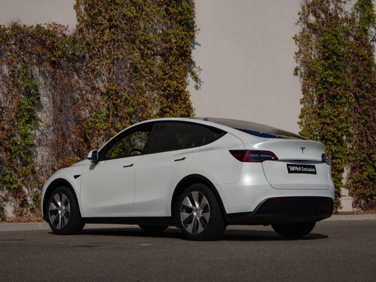 Image TESLA Model Y Standard RWD