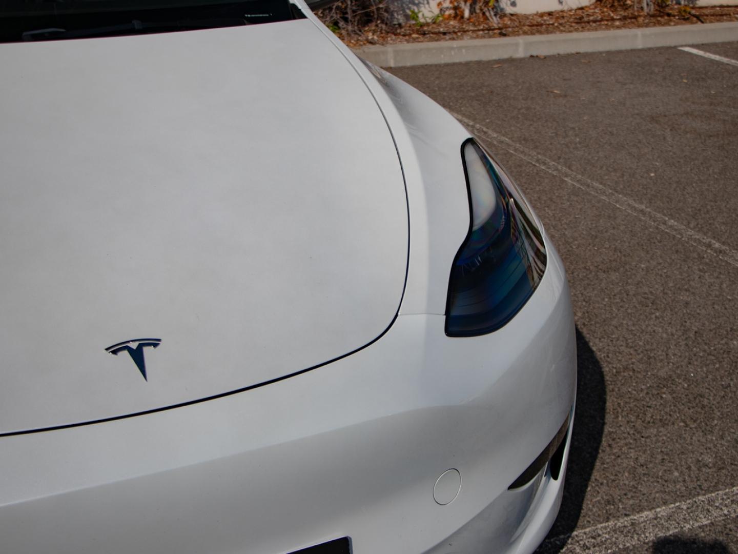Image TESLA Model Y Standard RWD