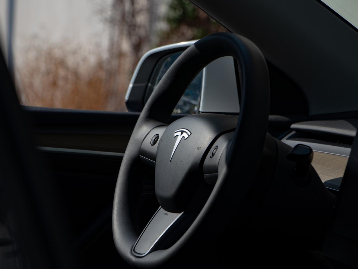 Image TESLA Model Y Standard RWD