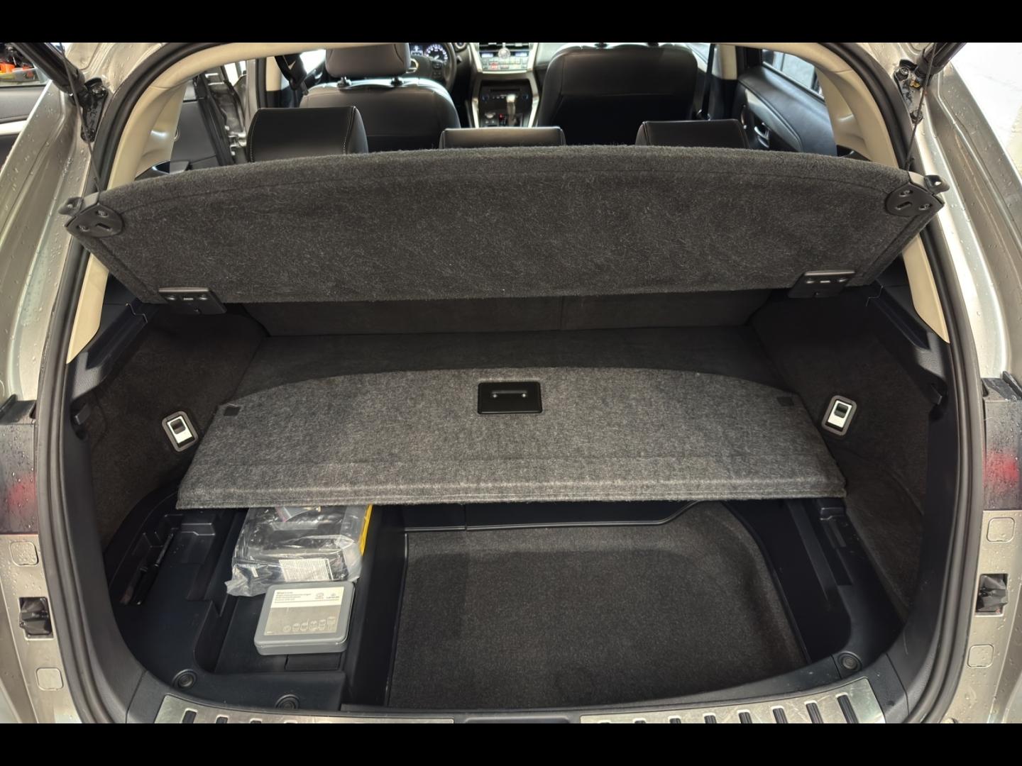 Image LEXUS NX 300h 4WD Luxe