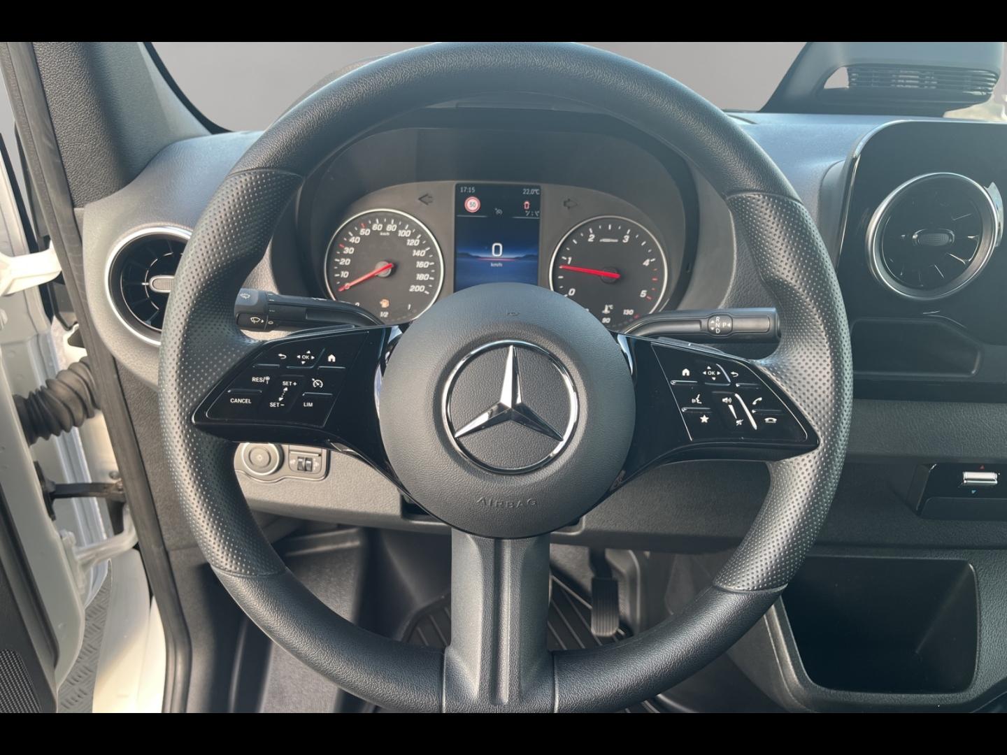 Image MERCEDES-BENZ Sprinter Fg 315 CDI 37 3T5 Pro 9G-Tronic PTRA 7t échelle galerie