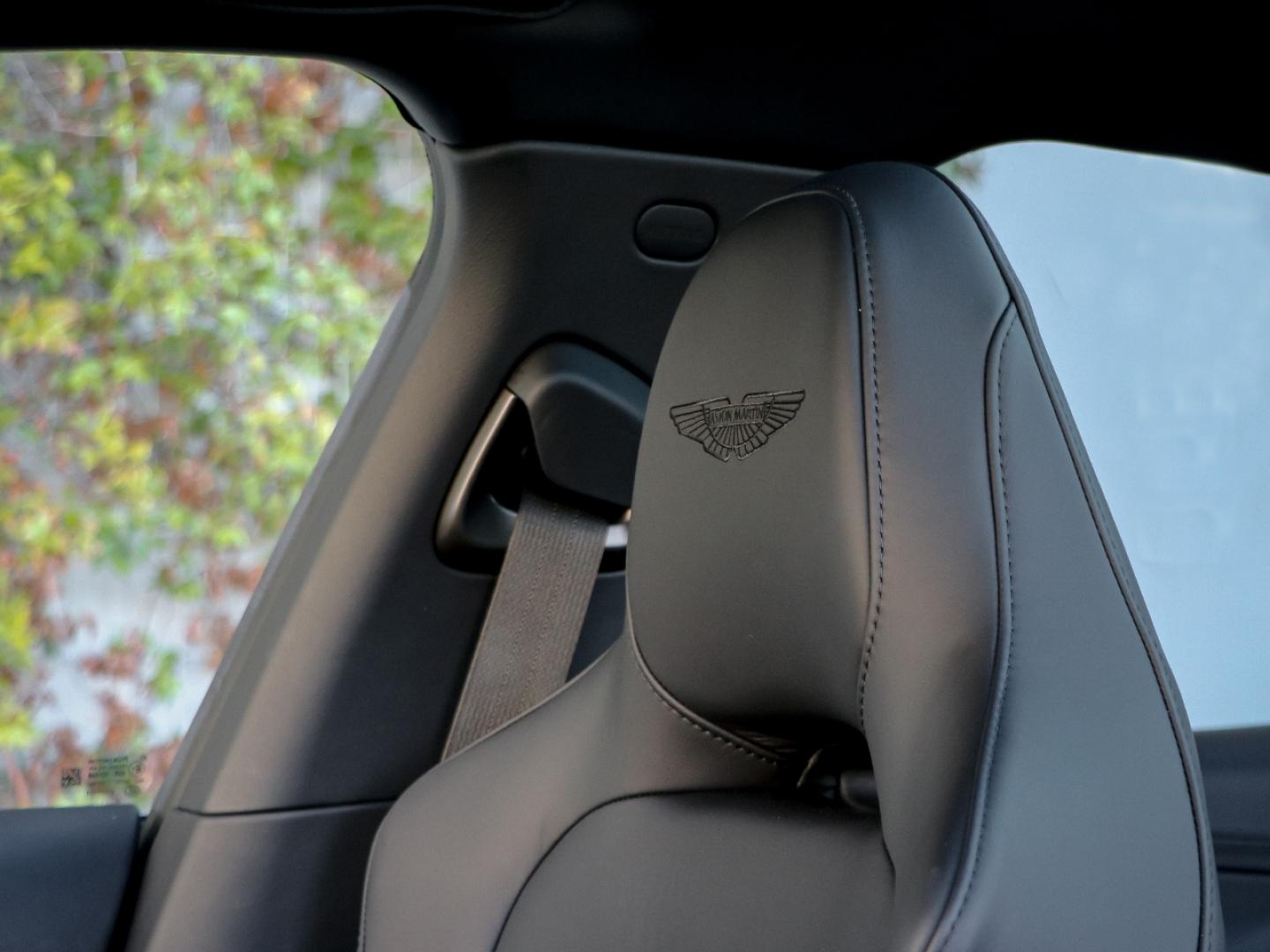 Image ASTON MARTIN DBX 4.0 V8 biturbo 707ch BVA9